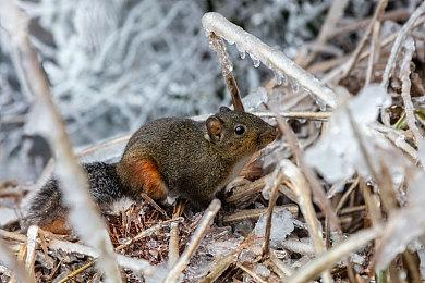 《匹诺曹的谎言》官方PC系统配置要求公布