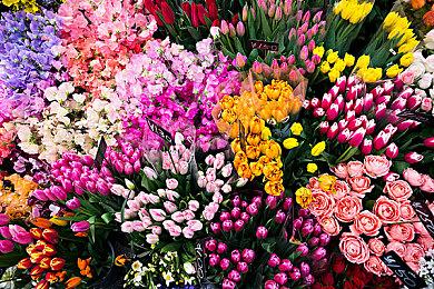 反乌托邦冒险游《黄金魁犬》 推出免费试玩序